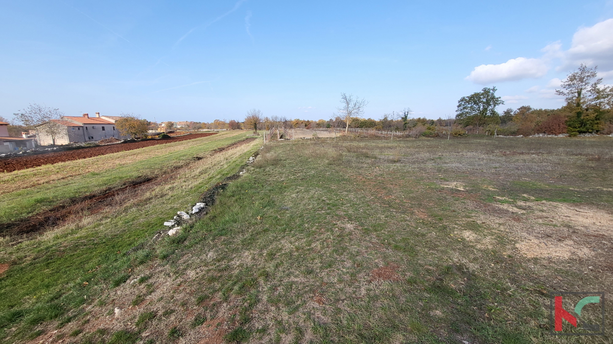 Istra - Svetvinčenat, zemljišče 5700m2 na mirni lokaciji